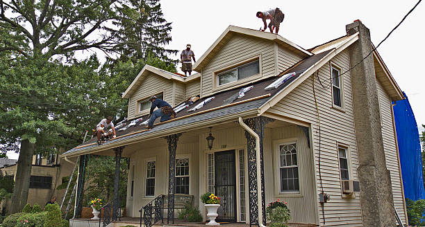 Best Roofing Contractor Near Me  in Grant City, MO